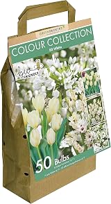 GreenBrokers Colour Collection Spring Flower Bulbs White 50 Pack