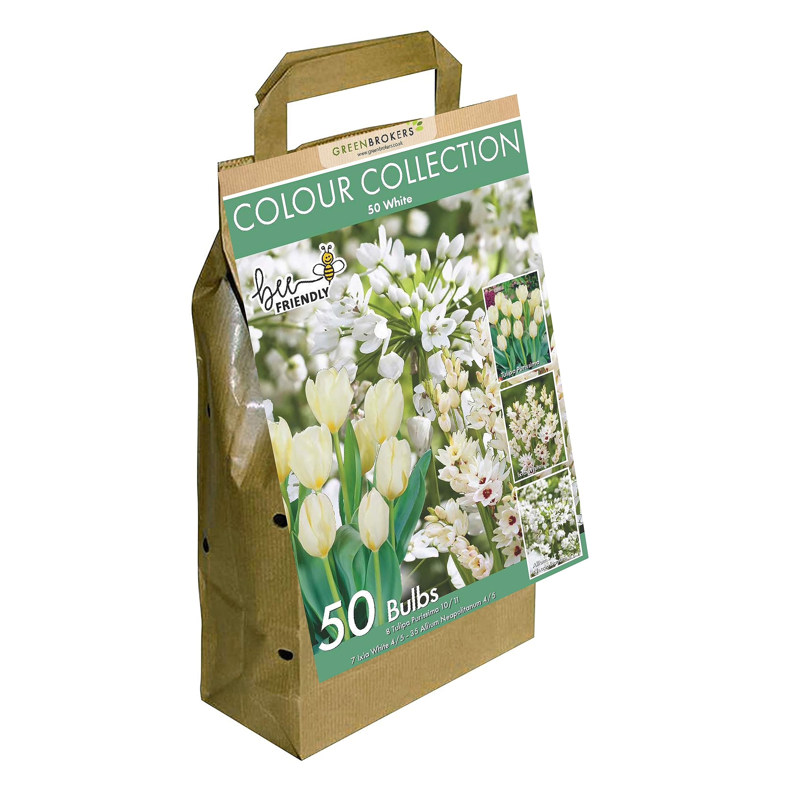 GreenBrokers Colour Collection Spring Flower Bulbs - White โ image 1