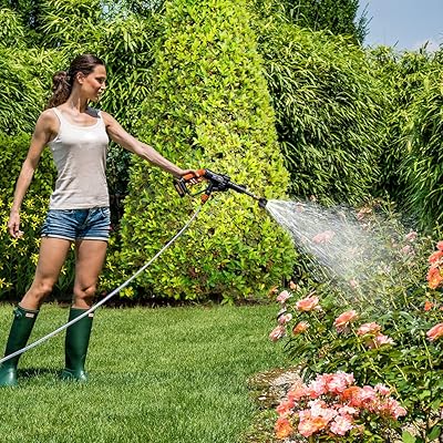 Gewicht des Worx WG629E