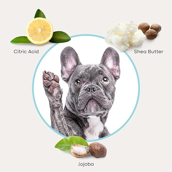 UPROOT CLEAN CAT & DOG EAR CLEANER FINGER WIPES (50CT.): DISPOSABLE DOG EAR WIPES ENRICHED WITH SHEA BUTTER & JOJOBA OIL – CLEANER REMOVING WAX BUILD UP, HELP WITH ODOR DISCOMFORT