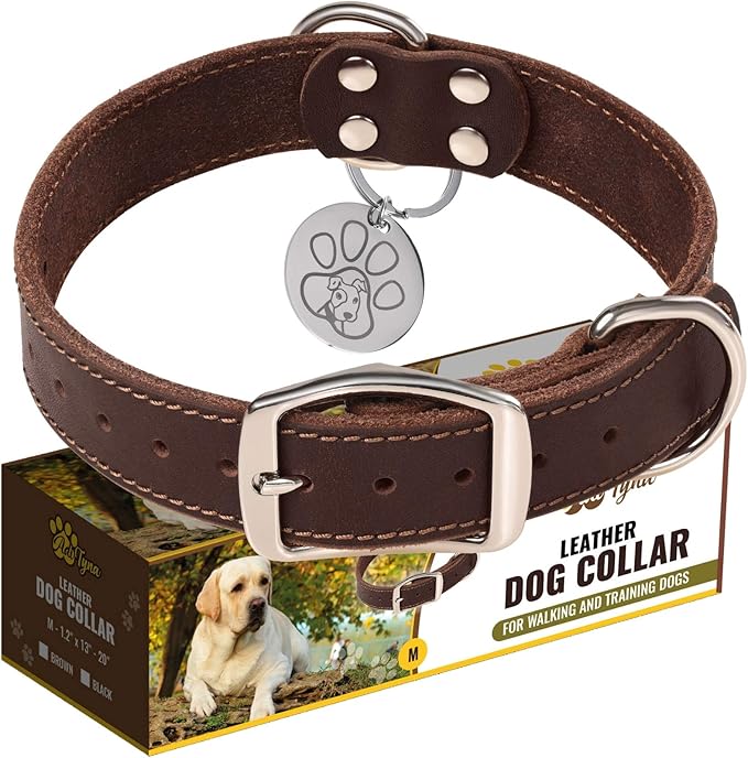 ADITYNA Leather Dog Collar for Medium Dogs Heavy Duty Wide Dog