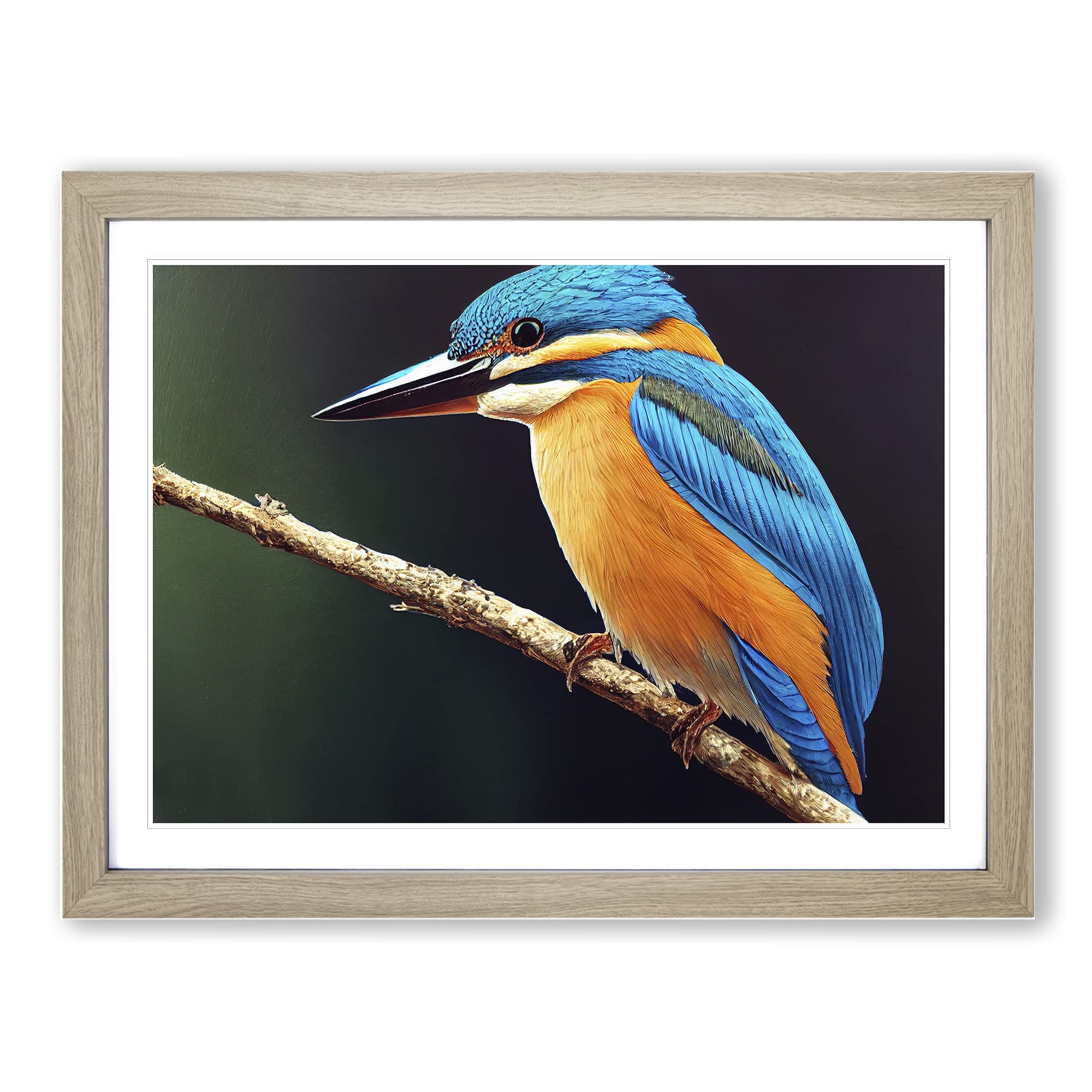 Staggering Kingfisher Bird Framed Print | A4 Oak Framed Wall Art | Ready to Hang | Modern Nature Picture | Living Room Bedroom Lounge Office