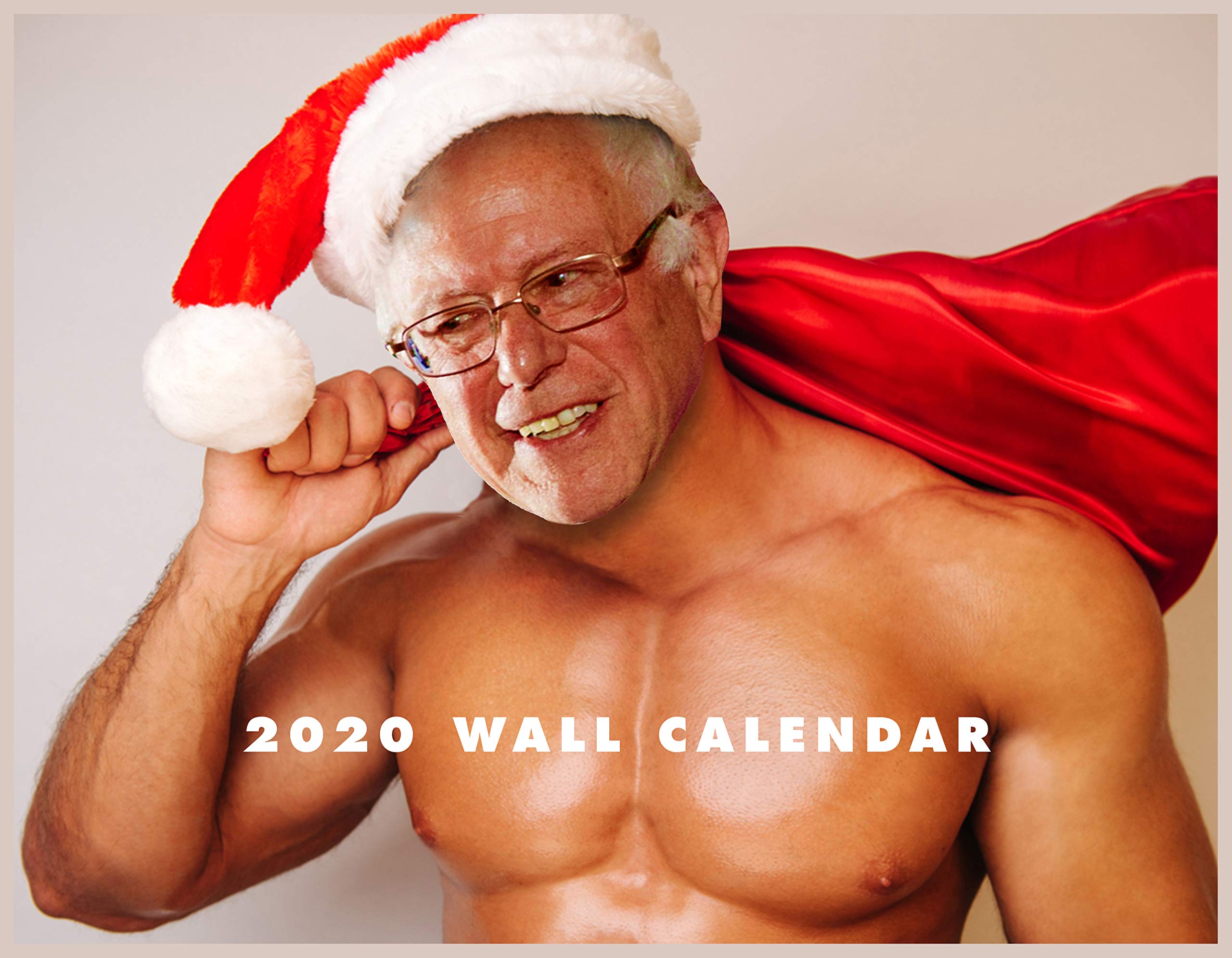 Bernie Sanders 12-Month Calendar (Well-Hung): Martin, Darren N: 9781670493262: Amazon.com: Books