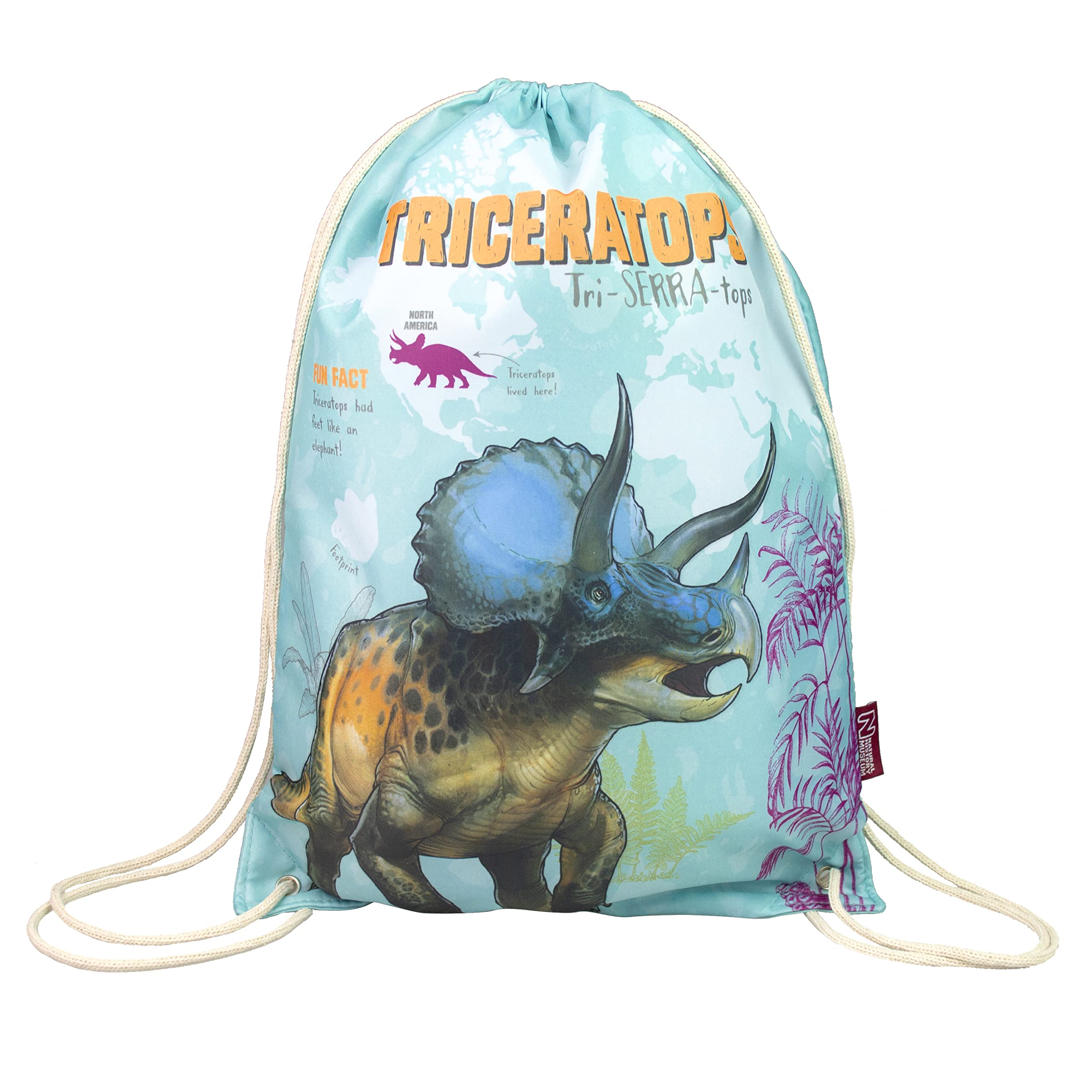 Blueprint Collections Natural History Museum Dinosaur Trainer Bag | Drawstring Bag | Dinosaur Gifts & Bags | Gym and Swim Bag | Kids Back to School Bag