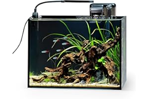 NICREW 2.5 Gallon Nano Nature Aquarium Kit, Ultra-Clear Rimless Desktop Fish Tank with Light and Filter, Perfect for Small Fish, Shrimp, or Betta, Basic Version, Black
