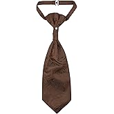 Vesuvio Napoli PreTied ASCOT Solid PAISLEY Color Cravat Men's Neck Tie 21 Colors