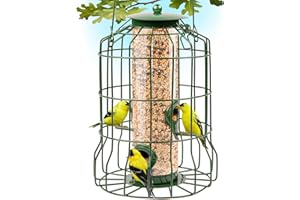 GRAY BUNNY Squirrel Proof Bird Feeders for Outdoors Hanging (Metal Green) Bird Feeder with 4 Ports, Chew-Proof & Weather Resistant, Backyard Gift (10.25 x 6.25 x 6.25 inches)