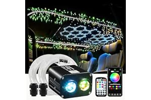 ATOKEE Twinkle 900pcs Starlight Headliner Kit, 20W Dual Color Dual Head 0.03in 9.8ft Fiber Optic Star Roof Lights for Car with APP/Remote Control