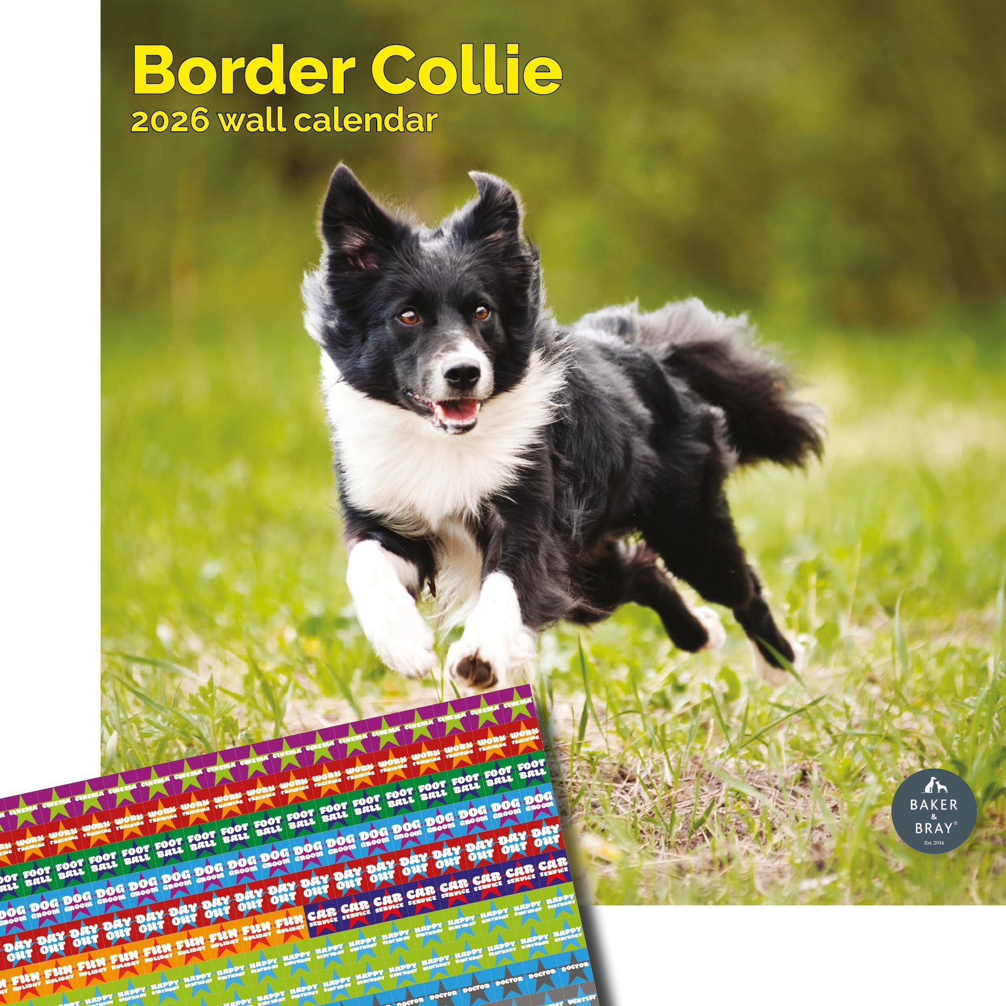 Baker and Bray Border Collie Calendar 2026, Large Square Wall Calendar With Organisational Stickers, 16 Month, Border Collie Gift Dog Calendar