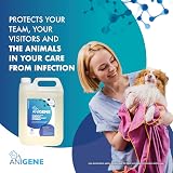 ANIGENE Surface Disinfectant Cleaner Byotrol 5 L Apple Scent UK Made view 7