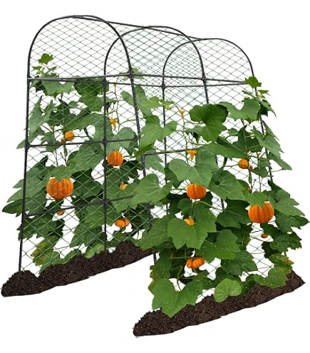 Garden Trellis Half Arch Wall Trellis For Climbing Plants - 7.9FT Metal ...
