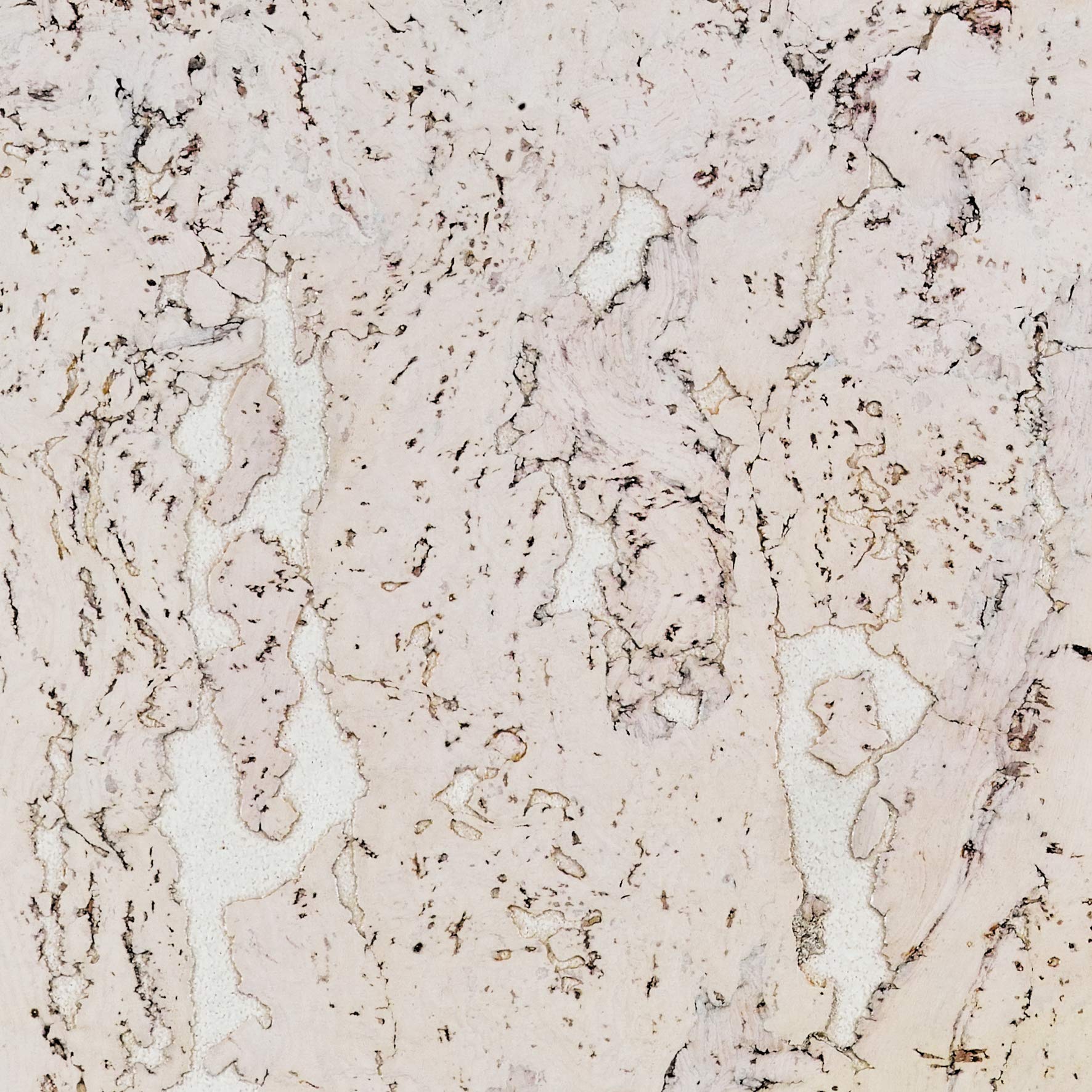 SDL 801 5 Dalles en Liège 3 mm Tiles, Multicolour 1, 5Dalles 60 x 30 cm Ep 3mm