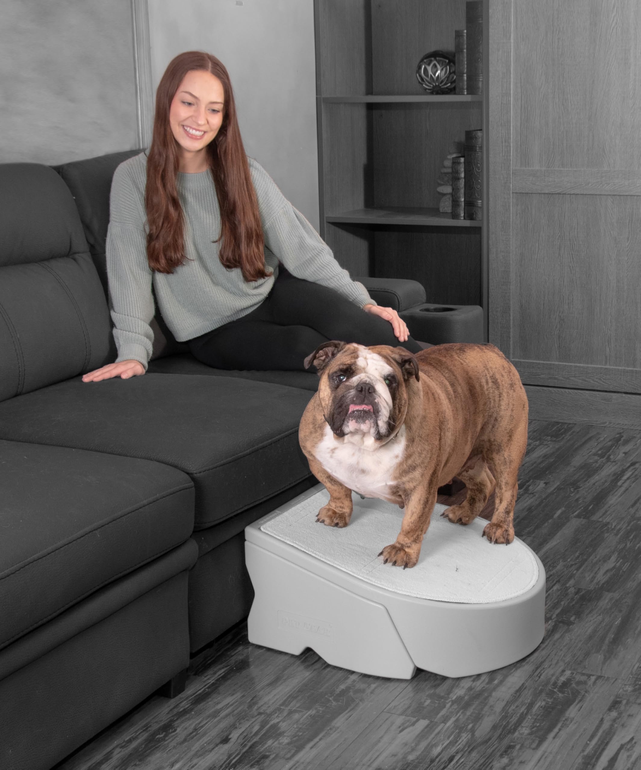 Pet Gear Stramp Stair and Ramp Combination for Dogs/Cats, Easy Step ...