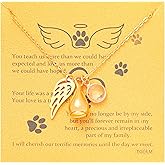 TGOLM Pet Loss Sympathy Gift Animal Urn Necklace for Ashes Fur Angel Wing Charm Birthstone Crystal Memorial Cremation Keepsake Jewelry for Pet Owners
