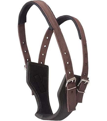 Weaver Equine Harness Leather and Aluminum Horse Cribbing Strap, 1 in
