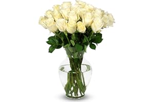 Benchmark Bouquets - 24 Stem Premium White Roses (Glass Vase Included) - Fresh Flowers for Next Day Delivery - Gift for Birthday, Anniversary, Get Well, Sympathy, Congratulations