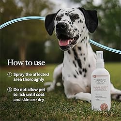Veterinary Formula Clinical Care Hot Spot & Itch