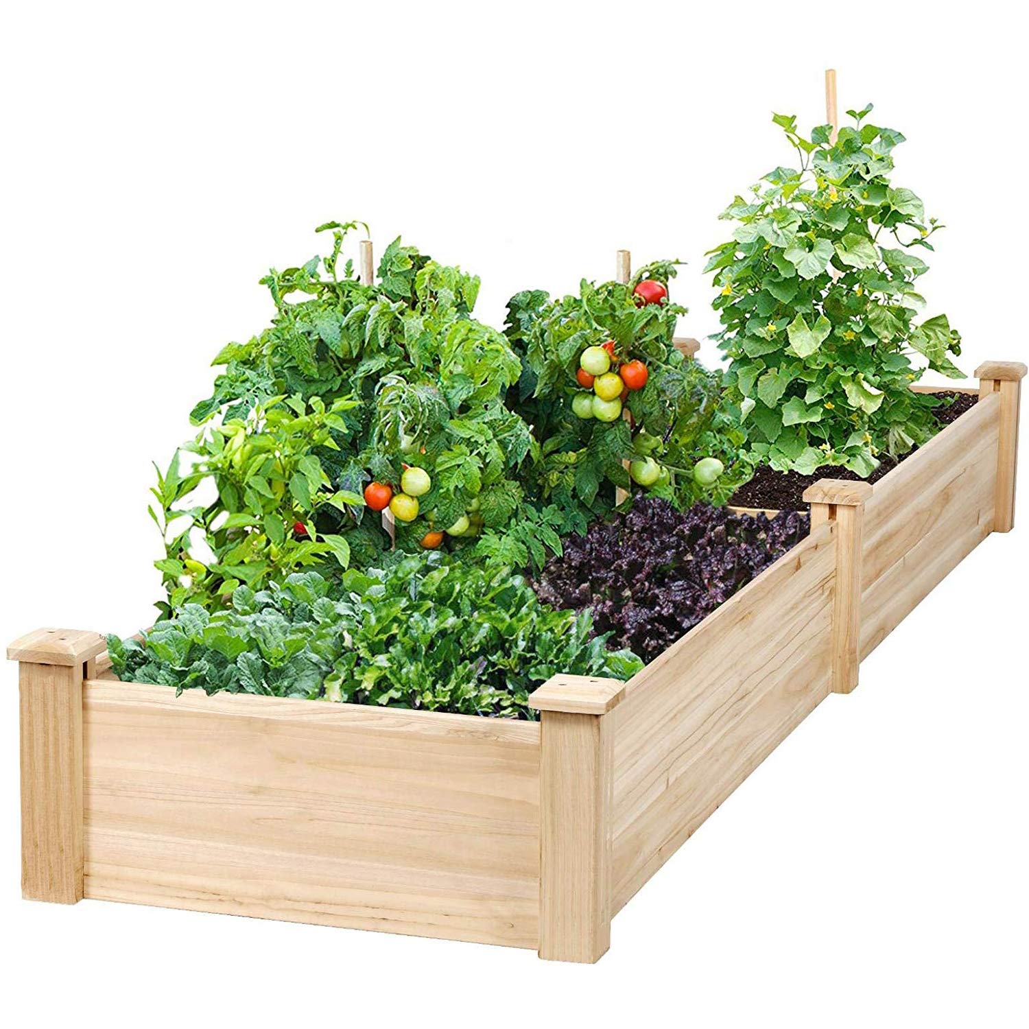 Raised Garden Beds For Sale Ambarnath India