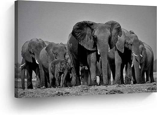Amazon Com Cute Herds Of Elephant Decor Canvas Print Black And