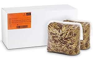 GoGo Quinoa Gluten Free Organic Bulk 2 Colors Macaroni Non GMO Vegan Pasta 4kg