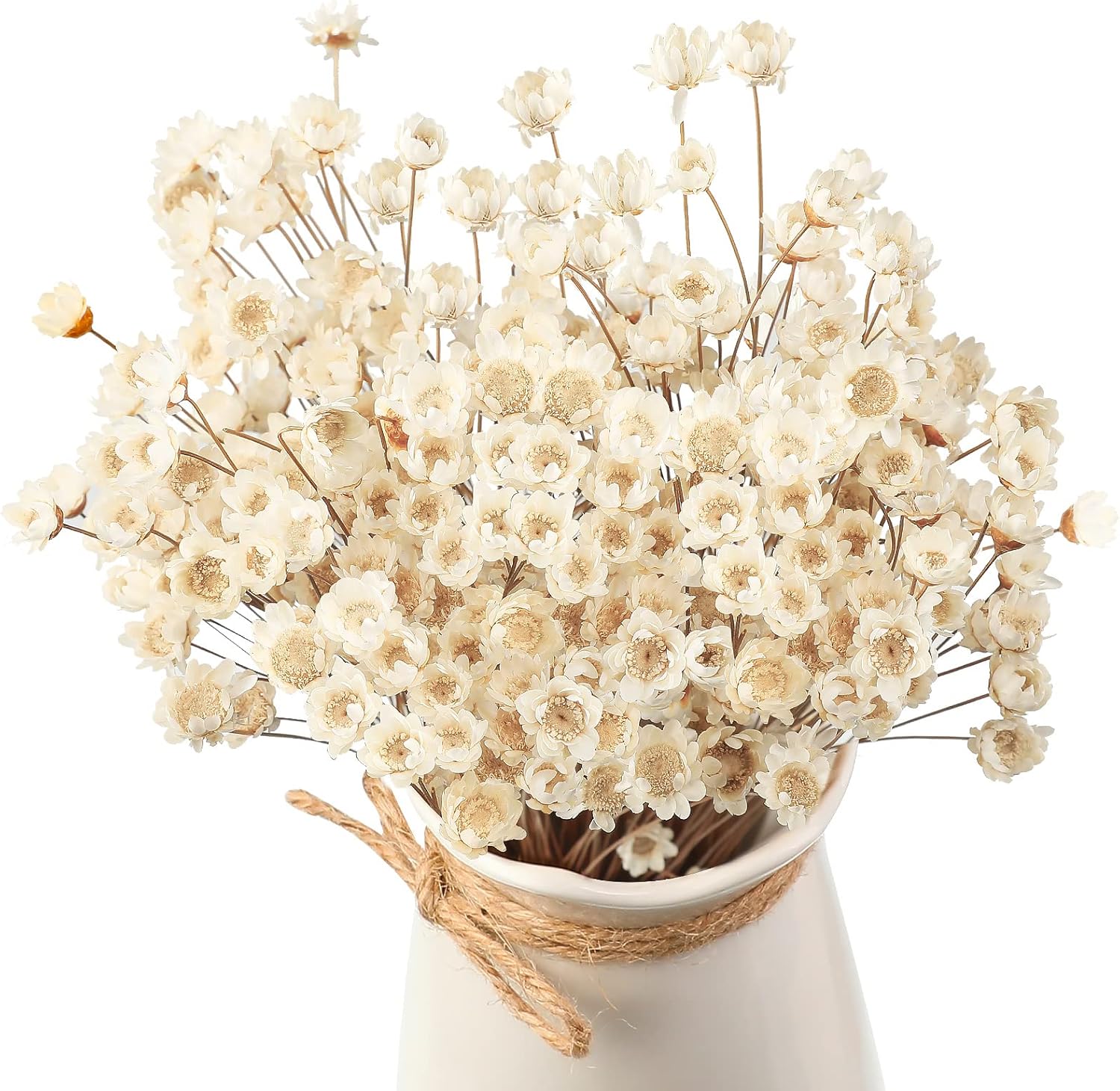 Dried & Preserved Flora - WILLBOND Natural Dry Flowers Brazilian Small Star Daisy Dried White Decorative Mini Chamomile Bouquet for Wedding Floral Arrangements Home Decorations (200)