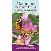 Common Native Bees of the Western United States: Your Way to Easily Identify Bees and Look-Alikes (Adventure Quick Guides)