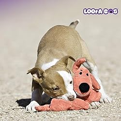 Multipet's Original Loofa Jumbo Dog Toy in Assorted