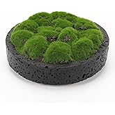 NAHARO New Moss Bowl,8''Handmade Cement Bowl–Artificial Moss Centerpiece for Home Decoration, Living Room, Office, or Coffee 