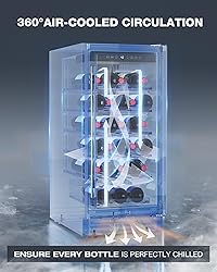 ICEVIVAL 15 Inch Wine Cooler Refrigerator, 28