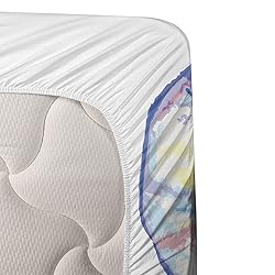 Ambesonne Dragonfly Sheet Set, Single Dragonfly