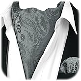 HISDERN Ascot Ties for Men Paisley Floral Ascot and Pocket Square Set Classic Self Tie Mens Cravat Handkerchief for Wedding