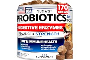 Probiotics for Dogs - 170 Chews - Helps Relieve Diarrhea, Gas & Allergies, Constipation - Dog Probiotics - Digestive & Immune
