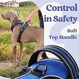 rabbitgoo Dog Harness Large No-Pull Front Back Clips Reflective Blue L view 5