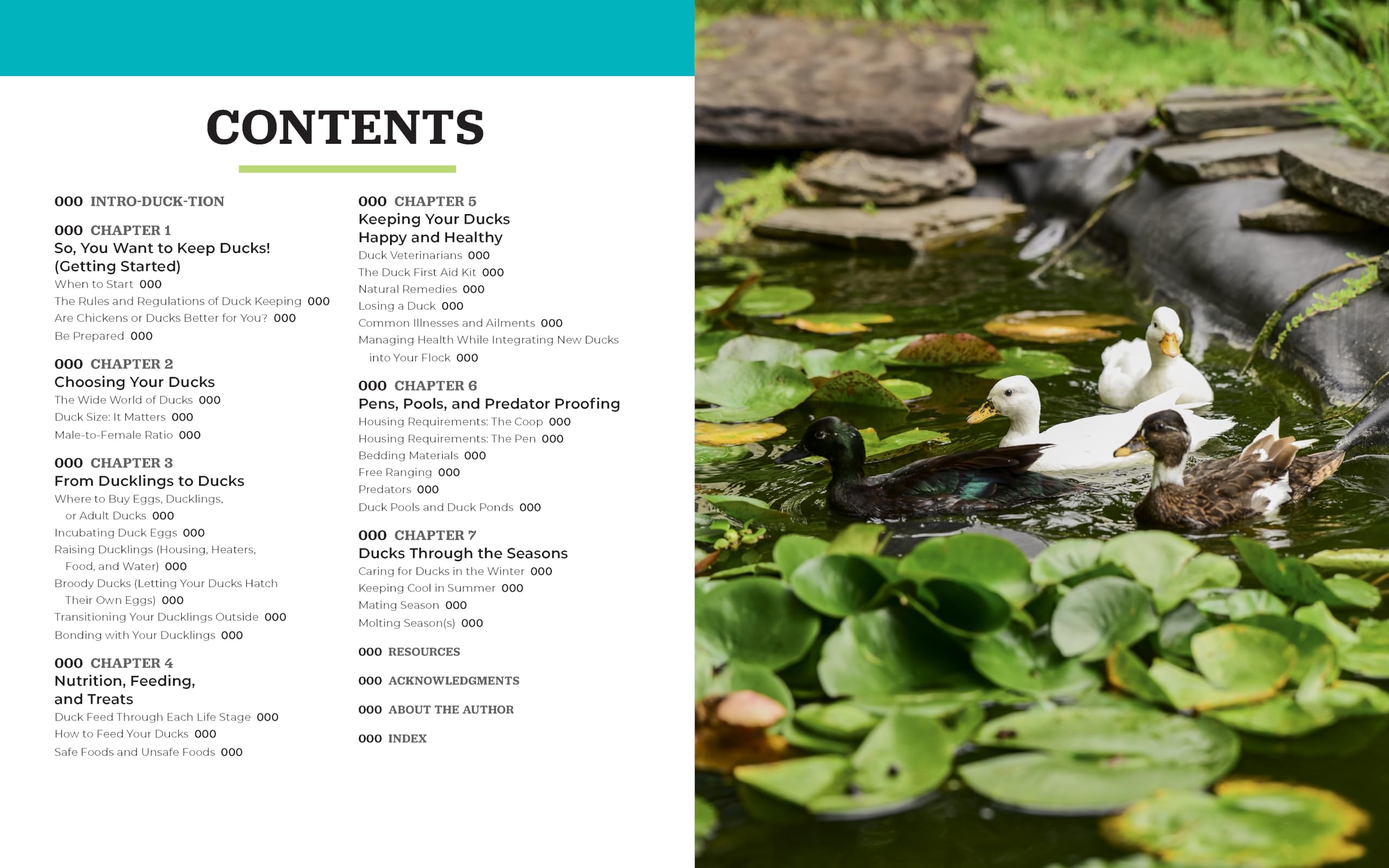 Raising Ducks for Beginners and Beyond: The Guide to Breeds, Ponds, Nutrition, and All Things Duck Raising Ducks for Beginners and Beyond: The Guide to Breeds, Ponds, Nutrition, and All Things Duck Paperback