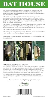 Greenkey 695 Medium Bat Box Natural Wood Grooved Ladder 20mm Entrance Crevice view 3