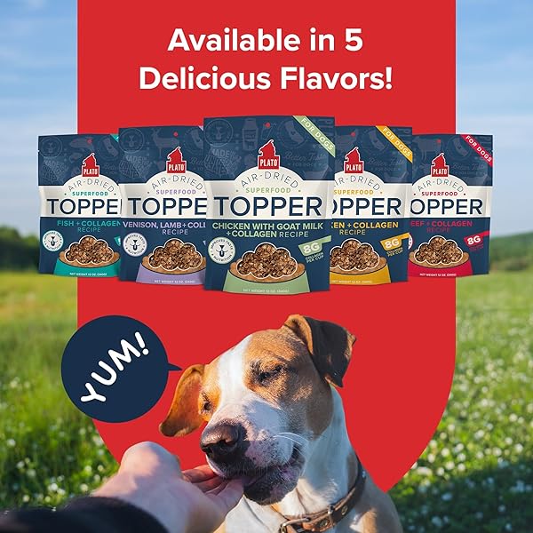 PLATO PET TREATS DOG FOOD TOPPERS – AIR-DRIED DOG FOOD TOPPERS FOR DRY FOOD – WITH COLLAGEN TO SUPPORT SKIN AND COAT HEALTH – GOAT MILK & COLLAGEN RECIPE 12OZ