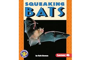 Squeaking Bats