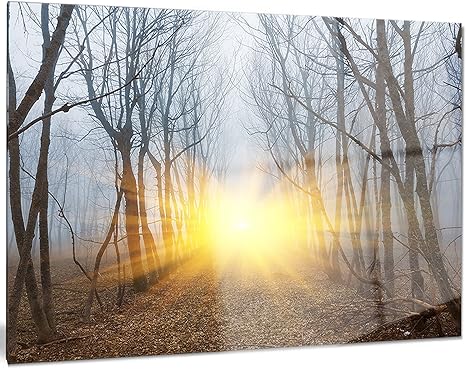 Amazon Designart Mt9555 40 30 黄色い太陽の光 霧の森の中の風景 フォトメタルウォールアート 40x30 黄色 40x30 アートフレーム ポスター オンライン通販