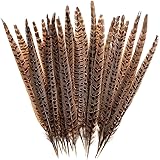 AWAYTR 20pcs Natural Pheasant Feathers - Pheasant Tail 8-11inch(21-28cm) for DIY Decoration (Female Pheasant Tail)
