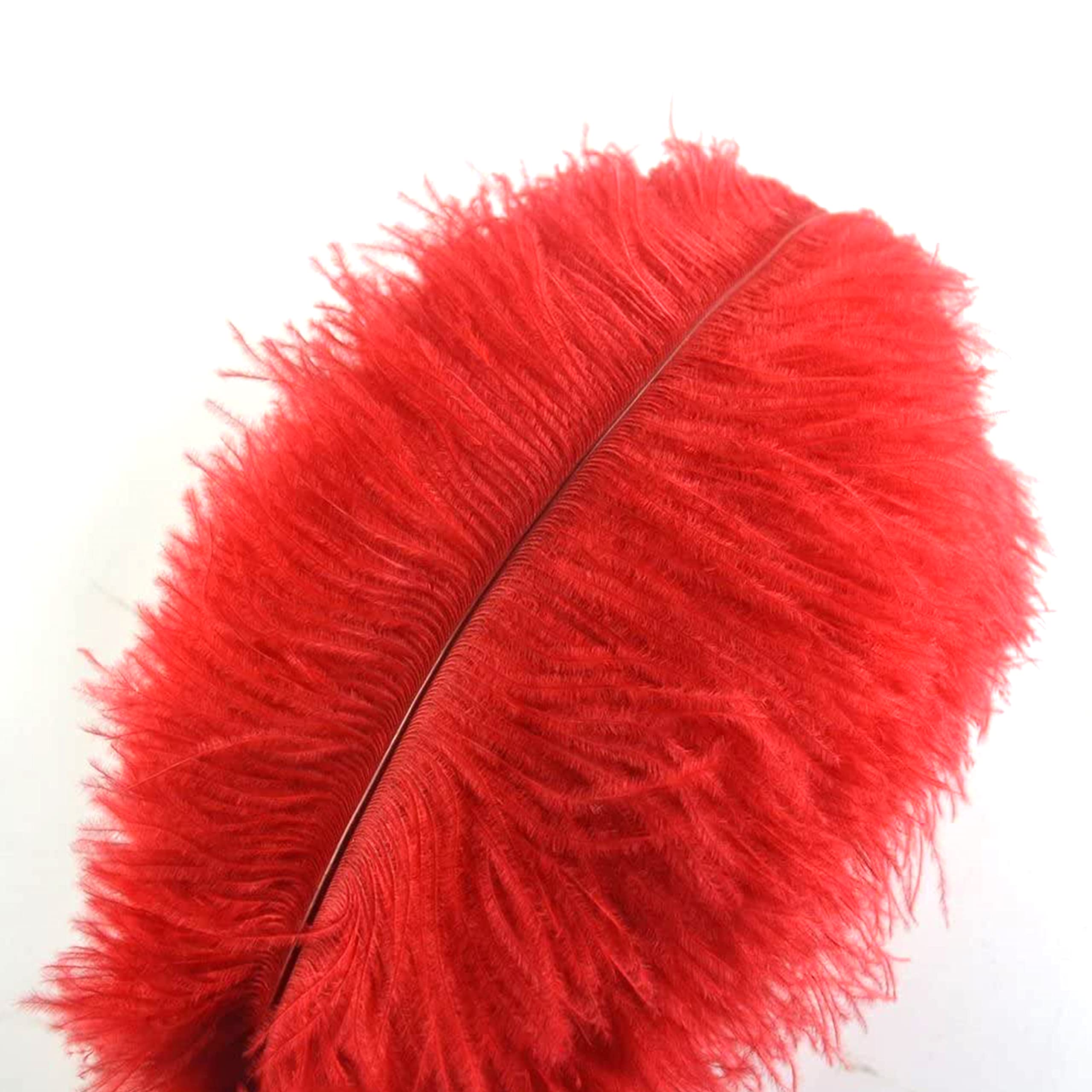 Crenze 10pcs Ostrich Feathers 12-14inch(30-35cm) for Home Wedding Decoration Offers 10 Colors