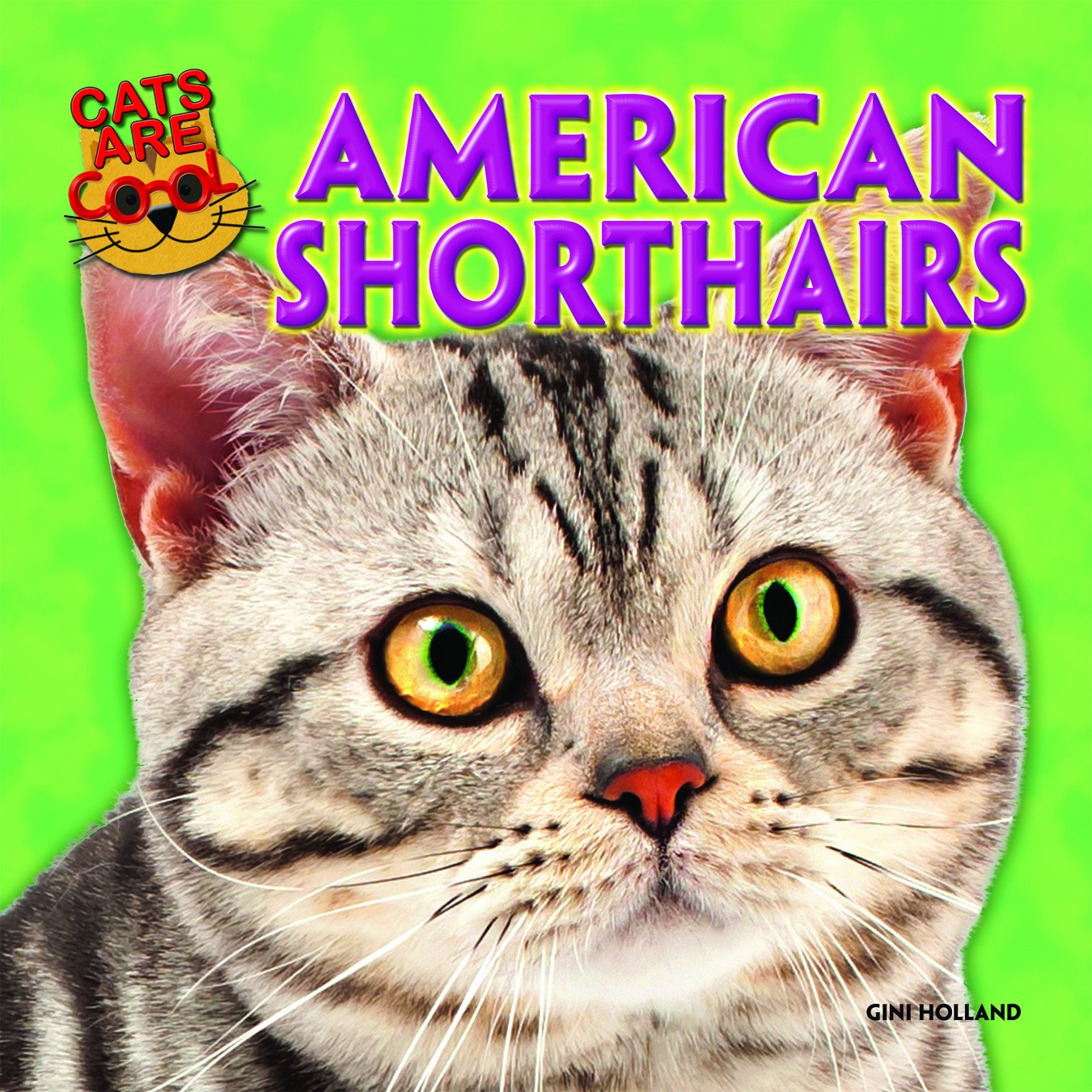 American Shorthairs Cats Are Cool Ruth Owen Gini Holland