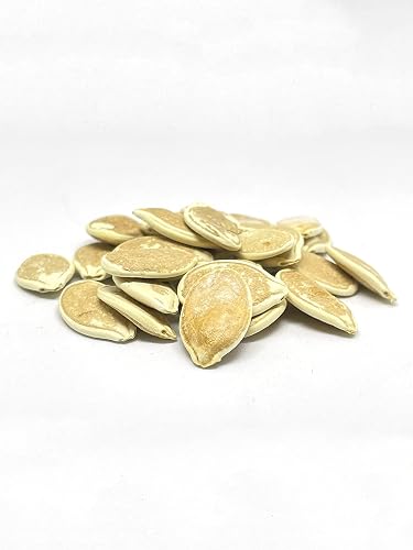 20 Fresh Big Max Pumpkin Seeds For Planting - Easy To Grow, Full Sun
