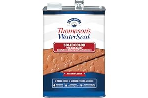 THOMPSON'S Thompson’s WaterSeal Solid Color Waterproofing Wood Stain and Sealer, Natural Cedar, 1 Gallon