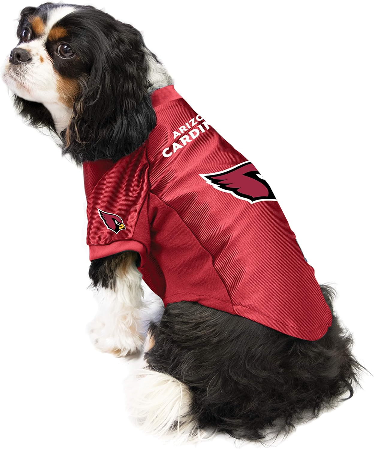pet nfl jerseys