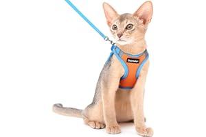 Dooradar Cat Harness and Leash Set, Escape Proof Lightweight Kitten Harness, Soft Breathable Reflective Vest for Outdoor Walking Traveling, Adjustable for Medium Cats, Orange & Blue, M