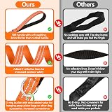 X XBEN Training Lead for Dogs 5M Reflective Lightweight Long Line Padded Handle view 5