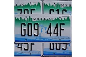 GENERIC Authentic License Plate - All 50 States + Territories, Great for Decoration, Art Projects, Garages, Unique Gifts, Man Caves. (Michigan)