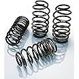 Eibach Pro-Kit Performance Spring Kit 2876.140 (Set of 4 Springs) Compatible with Dodge Charger R/T 2009-2010