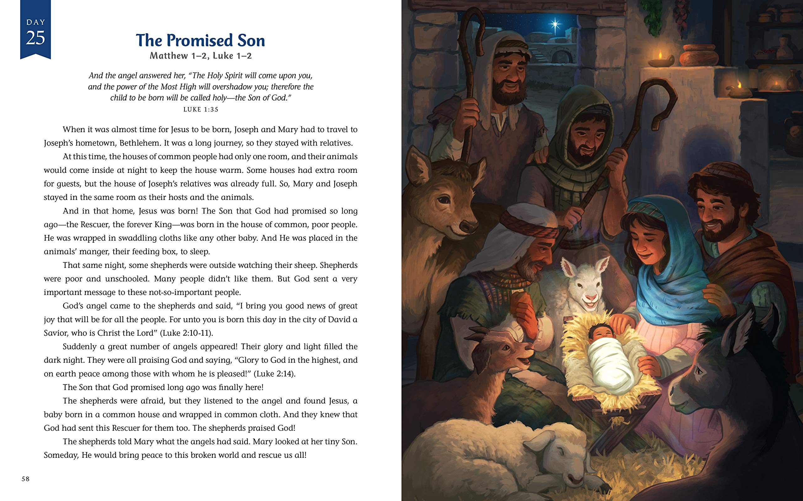 The Advent Storybook: 25 Bible Stories Showing Why Jesus Came (Bible Storybook Series)