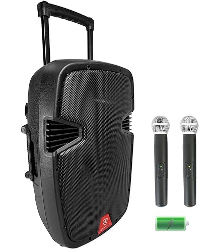 新品未使用★BTS★BE★ラキドロ★サウンドウェーブ★M2U★希少★匿名配送 Amazon.com: Rockville RAM15BT 15